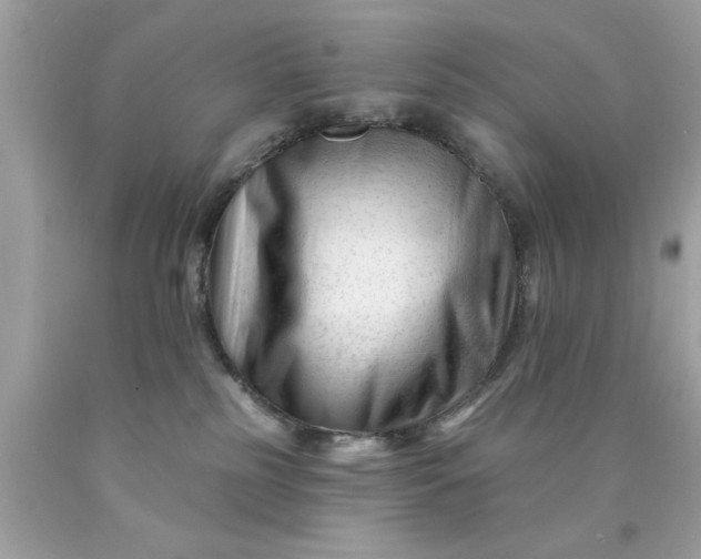 X0000090480185200707272327