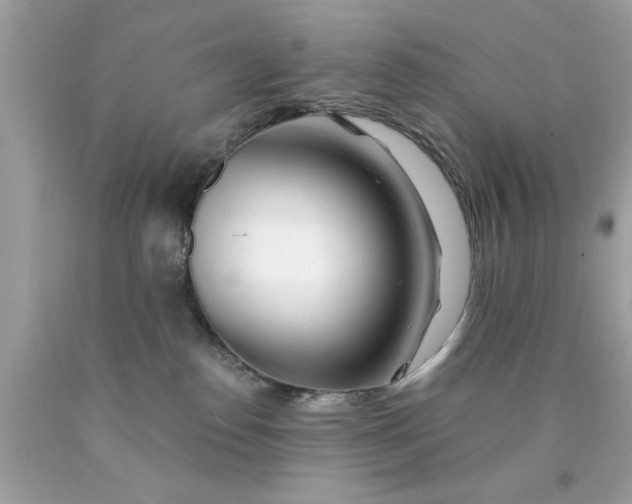 X0000090480186200707272327