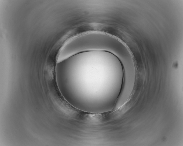 X0000090480188200707272327