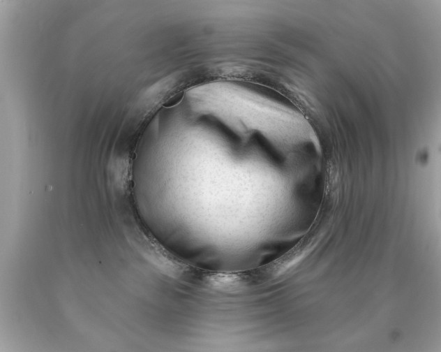 X0000090480189200707272327