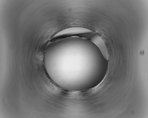 X0000090480192200707272327