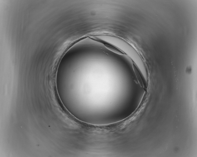 X0000090480193200707272326