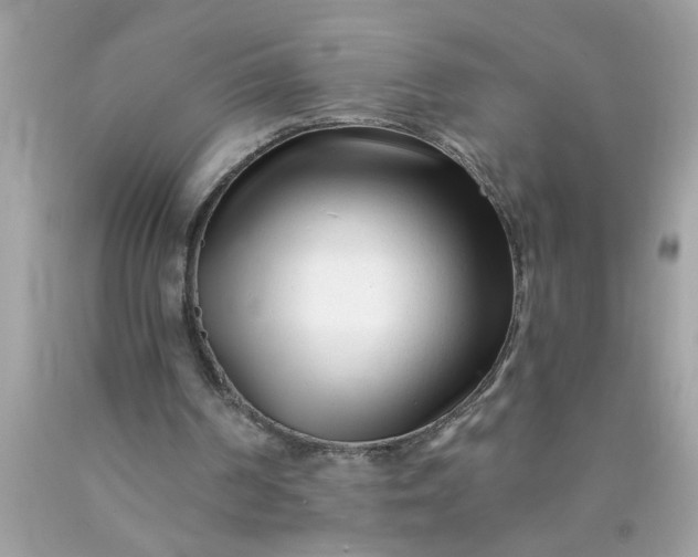 X0000090480194200707272326