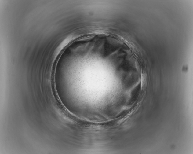 X0000090480195200707272326