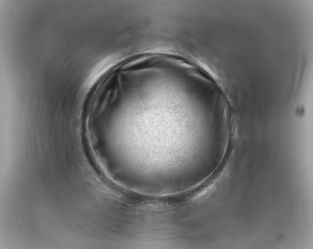 X0000090480199200707272326