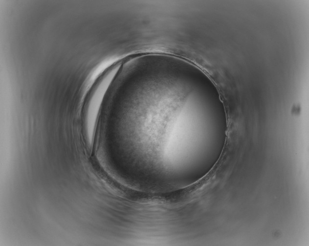 X0000090480200200707272326