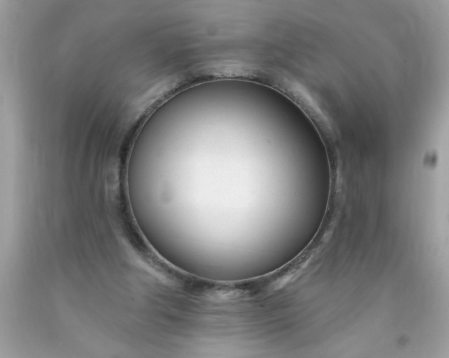 X0000090480202200707272326