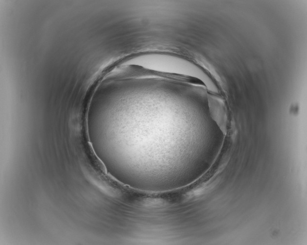 X0000090480203200707272326