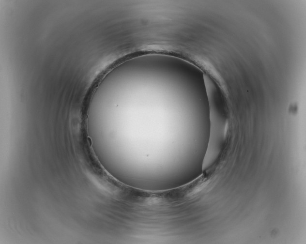 X0000090480204200707272326