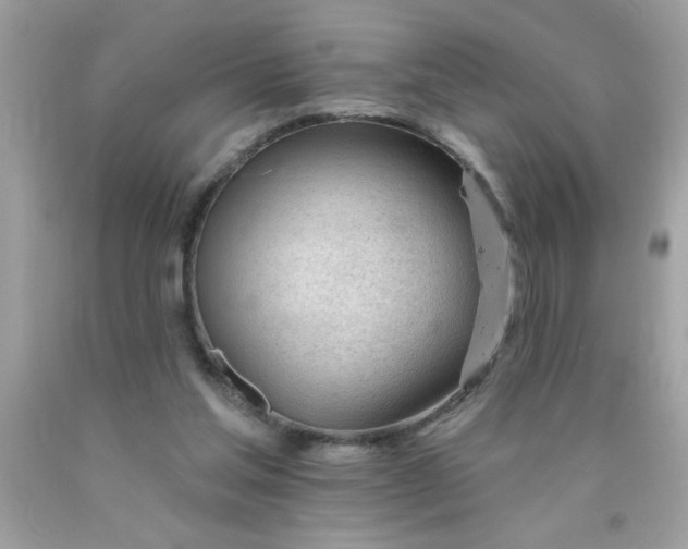 X0000090480205200707272326