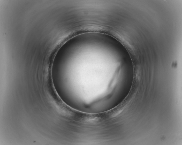 X0000090480206200707272326