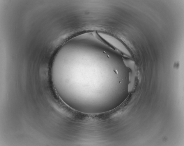 X0000090480207200707272326