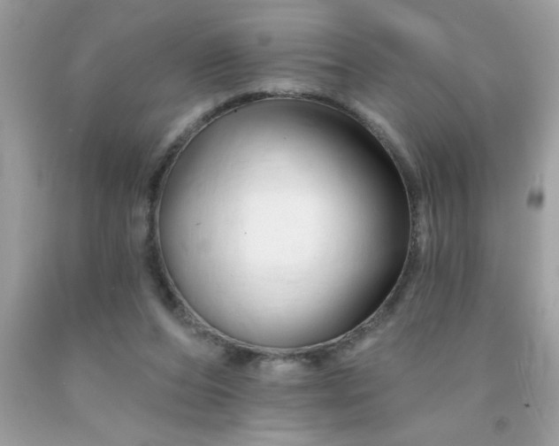 X0000090480208200707272326