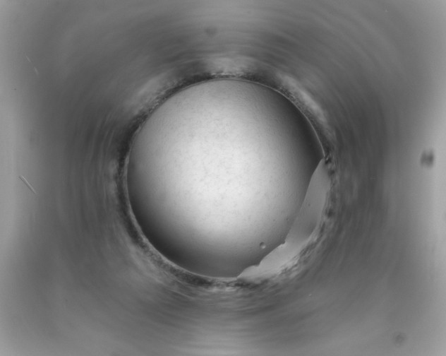 X0000090480209200707272326