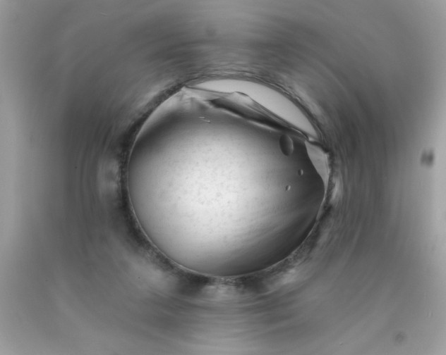 X0000090480211200707272326