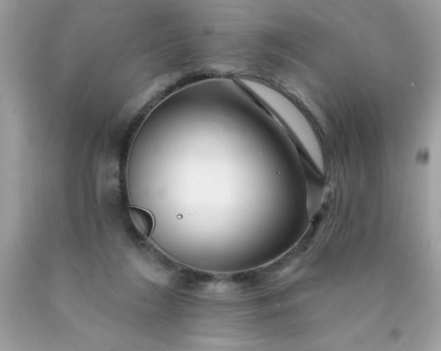 X0000090480212200707272326