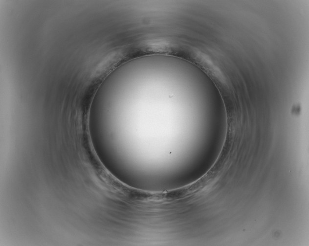 X0000090480213200707272326