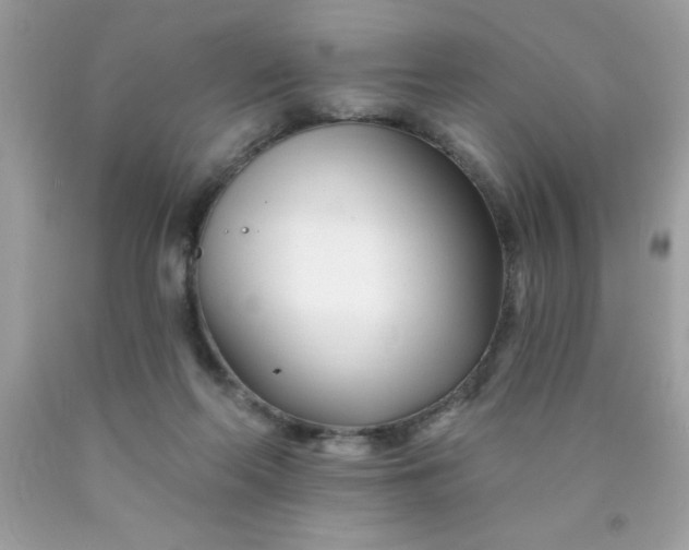 X0000090480214200707272326