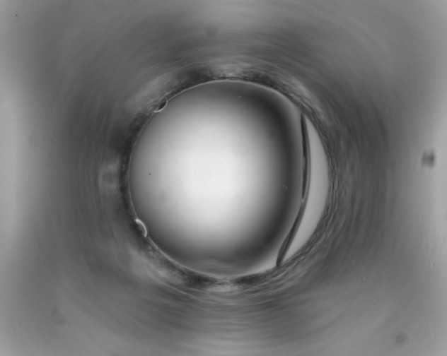 X0000090480217200707272326