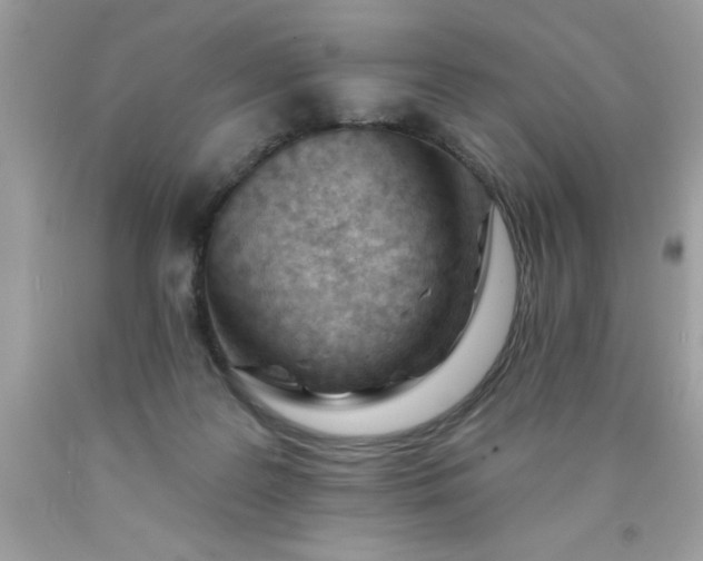 X0000090480219200707272326