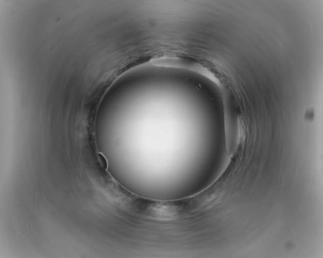 X0000090480221200707272326