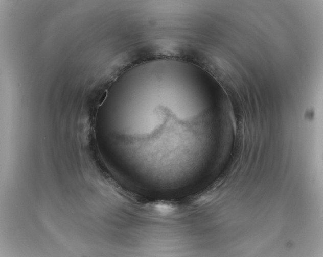 X0000090480223200707272326