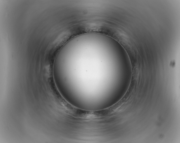 X0000090480224200707272326