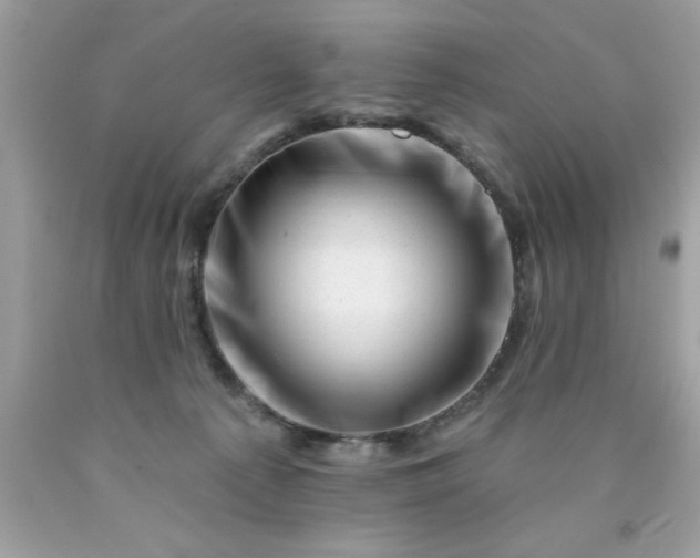 X0000090480225200707272326