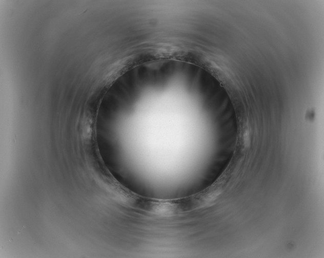 X0000090480226200707272326