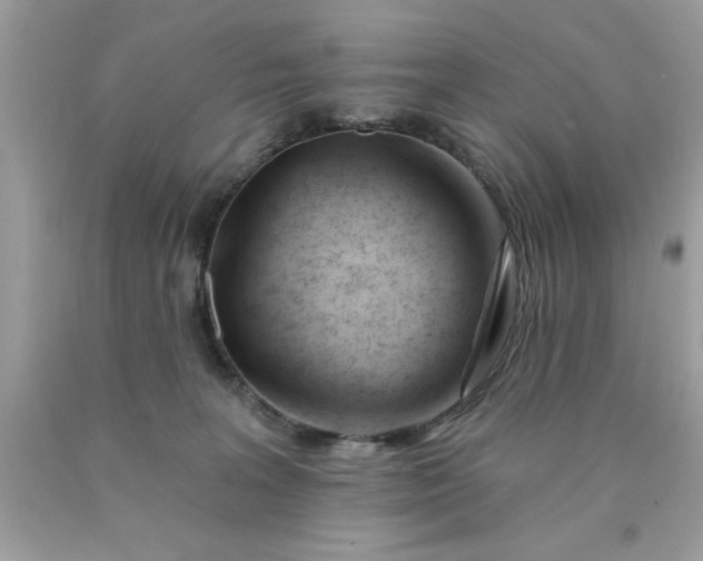 X0000090480227200707272326