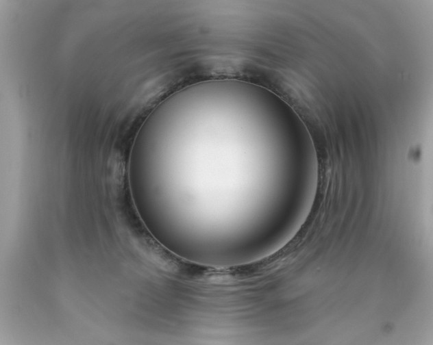 X0000090480228200707272326