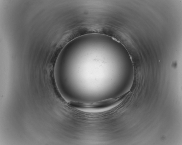 X0000090480229200707272326