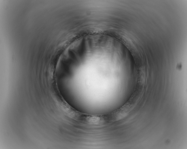 X0000090480230200707272326