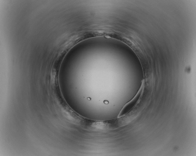 X0000090480231200707272326