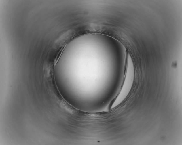 X0000090480233200707272326