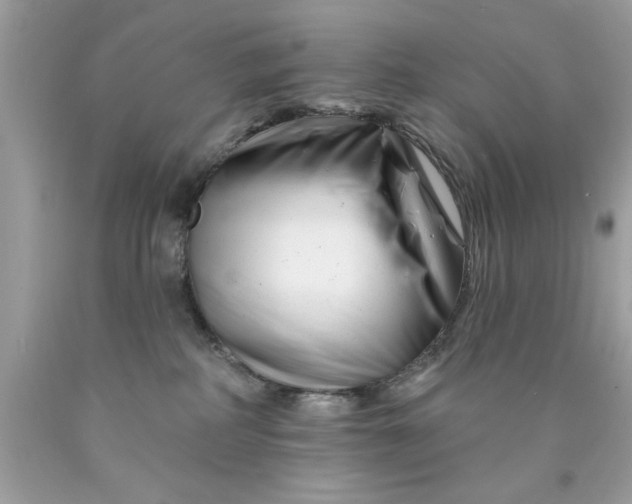 X0000090480234200707272326