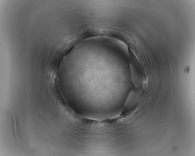 X0000090480235200707272326