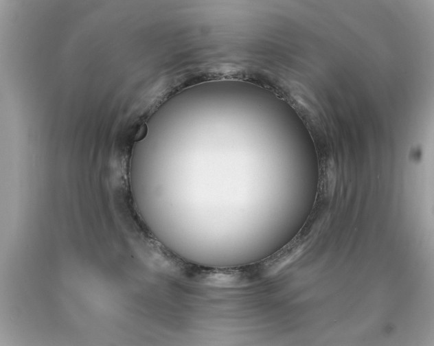 X0000090480236200707272326