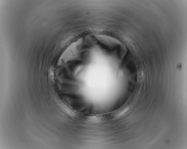X0000090480238200707272325