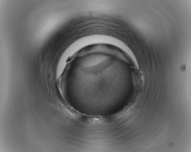 X0000090480239200707272325