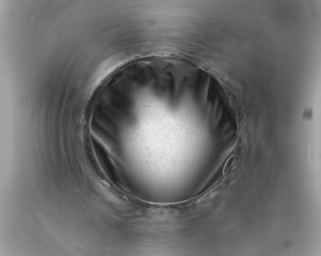 X0000090480242200707272325