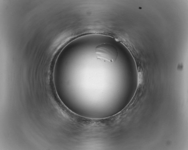 X0000090480243200707272325