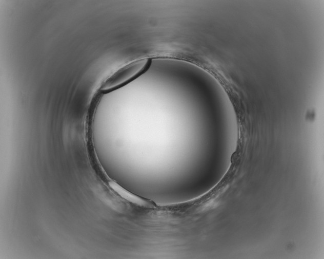 X0000090480244200707272325