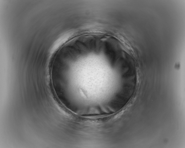 X0000090480245200707272325
