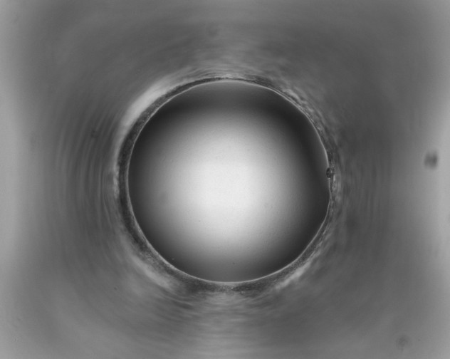 X0000090480246200707272325