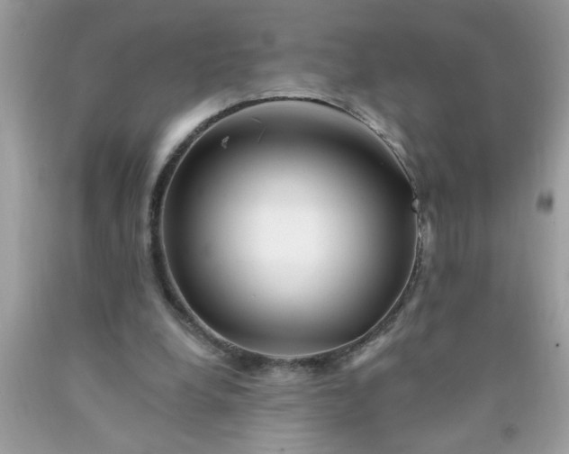 X0000090480248200707272325