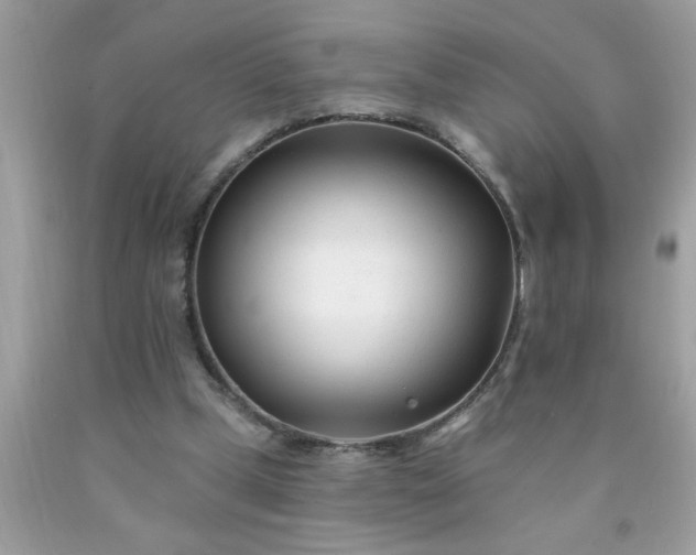 X0000090480249200707272325