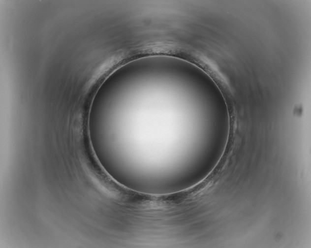 X0000090480250200707272325