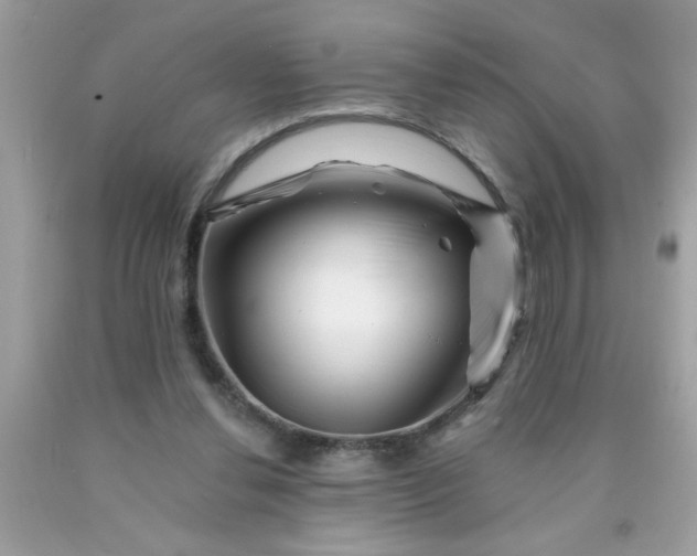X0000090480252200707272325