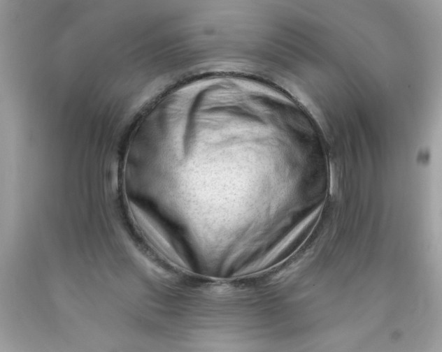 X0000090480253200707272325